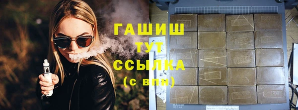 дмт Краснослободск