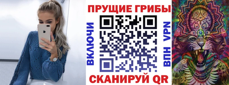 Псилоцибиновые грибы Psilocybine cubensis  Абаза 